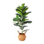 Ferrgoal Artificial Fiddle Leaf Fig Plants 39 Inch Fake Ficus Lyrata Tree with 32 Leaves in Pot and Woven Seagrass Belly Basket Perfect Faux Plant for Home Indoor Outdoor Office Modern Decor Green