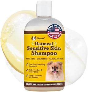 Natural [Dog] Company Oatmeal Sensitive Skin Shampoo, 12 oz., Dandruff Shampoo, Hypoallergenic, Plant Based Ingredients, Bathing Supplies, Itchy [Skin] relief for [Dog]s