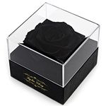 Kylin Glory Fresh Cut Flower Preserved Rose for Women Mom Wife Girlfriend - Flower Gift Real Rose Decor for Mother's Day Valentine's Day Wedding Party Celebration Birthday Anniversary (Black)