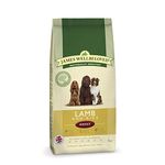 James Wellbeloved Lamb & Rice Adult Dog Food 2kg