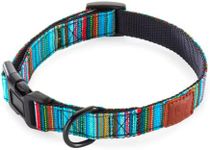 Embark Urban Dog Collars with Soft 