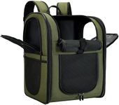 Apollo Walker Dog & Cat Carrier Backpack for 4-18lb Pets - Ventilated Safe Design with Padded Back Support, Breathable Mesh Pet Backpack for Hiking, Travel, Outdoor (Green)