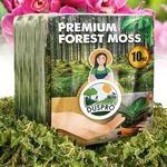 DUSPRO Dried Forest Moss for Potted Plants Orchid Moss Potting Mix Indoor Ideal Moist Repotting Sphagnum Orchid, Terrarium Decor, Natural Reptile Vine (8 Quarts)