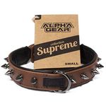 Studded Leather Dog and cat Collar – Genuine Leather Spiked Collar Size Small for Pug, Shih Tzu or cat 10-12 inches Neck Size - Brown