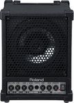Roland CM 30 Monitor Speaker