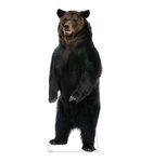 Brown Bear Lifesize Cardboard Standup