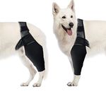 Elbow Support For Dogs