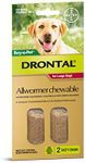 Drontal Allwormer Chews for Dogs 10-35kg, 2 Pack, 2 chews