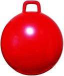 Space Hopper Ball with Air Pump: 28