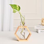 DecorTwist Wooden 1 Glass Test Tube Planter | Modern Flower Vase with Wood Stand for Plant Propagation | Plant Holder for Home Garden, Office, Table Desktop, and Diwali Decoration Items for Home Decor