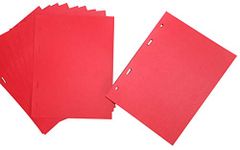 COLLECTOR 10 Pages for Coin or Medal Album, Dividers, Folder Extra Refill Sheets Inserts or other brand coin book (Red Dividers)