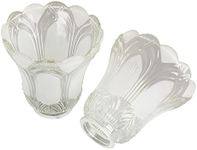 Anmire 2 Pack Clear Frosted Flower 