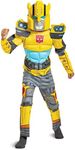 Bumblebee Costume, Muscle Transform