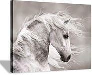 Horse Canvas Wall Art: Animal in Th