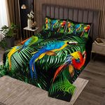 Erosebridal Parrot Bedspread Watercolor Animal Feather Bedding Set Palm Leaf Coverlet Set, Tropical Plant Birds Comfortable Quilted with Pillowcase King Size