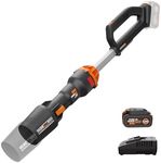 WORX Nitro Cordless Leaf Blower, El