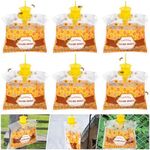 6 Pack Carpenter Bee Traps for Outs