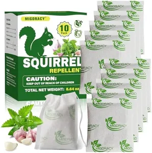 Squirrel R
