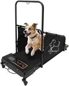Dog Treadm