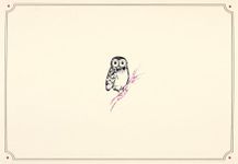 Owl Note Cards (Stationery, Boxed Cards)