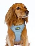 Dawn Dog - Dog Harness. Comfortable, breathable, ultra reflective, secure locking buckles, no choke design. Small dogs, Medium dogs, Large dogs, Extra Large dogs, Grey (Medium)