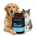 PURICA Pet Recovery Extra Strength, 60 Chewable Tablets, Joint Support for Dogs and Cats with Glucosamine, MSM and Hyaluronic Acid, Made in Canada