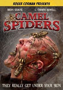 Camel Spiders