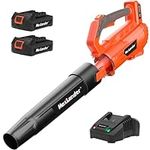 Leaf Blower Cordless with Battery a
