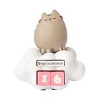 Grupo Erik Pusheen Perpetual Calendar | Flip Calendar, Perpetual Calendars, Desk Calendar, Cool Calendar | Pusheen Cat Figure | Pusheen Gifts