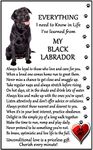 Fridge Magnets Black Lab, Labrador Lover (I Learned from my Black Lab) Gift - Large Fun flexible size 16cms x 10 cms (approx. 6" x4")