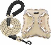 haapaw Dog Harness with Leash Set, No Pull Adjustable Reflective Step-in Puppy Harness with Thickened Padded Vest for Extra-Small/Small Medium Dogs