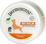 Bayer Derm