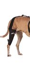 Walkabout canine knee brace (XXSmall Left 4.5-5.5")