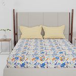 Trident Bedsheet Set - Urban Comfort Collection, 100% Cotton Bedsheet for Double Bed (1 Queen Size Bedsheet with 2 Pillow Covers) Superior Softness, 144 Thread Count - Gardenia Blooms Blue