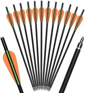 ELONG OUTDOOR 12X 16 Inch Crossbow Bolts Archery Arrows Fiberglass Hunting Target Arrow with Flat Nocks Removable 100 Grain Arrowheads