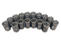 Competition Cams 983-16 Single Ovate Wire Valve Spring