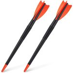 Wettarn 2 Pcs 300 Gram Training Javelin Track and Field Javelins Soft Plastic Javelin for Kids Adults School Competition Throwing Practice Indoors or Outdoors Equipment (Orange, Black,Classic Style)