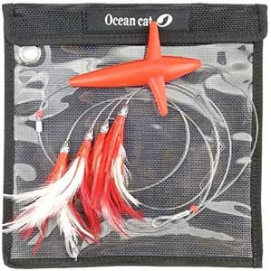 OCEAN CAT 