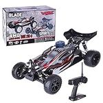 AMOC RC Off-Road Buggy, VRX RH1006 1/10 Scale 4WD Nitro Off-Road Vehicle High Speed RC Car