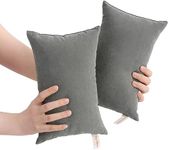 BEDSUM 2 Pack Tiny Pillows, 11"x7" Microfiber Mini Pillows for Travel, Pets, Soft and Machine Washable Small Pillows for Neck, Wrist, and Knee Comfort, Dark Grey