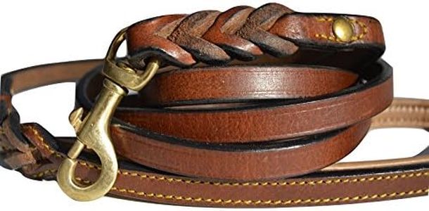Soft Touch Collars Leather Braided Dog Leash, Brown with Leather Padded Handle, 6 Foot