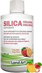 Liquid Silica Supplement - 500ml - For Skin, Hair and Nails - Great Taste - Fast Absorption - Vegan - Non-GMO –Gluten Free– Sugar Free – 33 Doses - Made in Canada