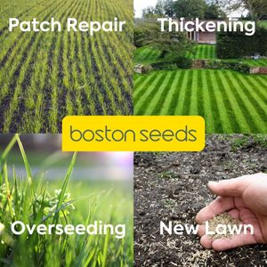 Boston Seeds Fast Growing Grass Seed, Hard Wearing – 10kg Eco Lawn