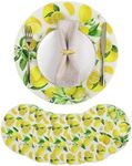 U'Artlines Spring Summer Round Braided Placemats Set of 6, 15Inch Lemon Pattern Washable Round Woven Placemats Table Mats for Party Kitchen Dining Table