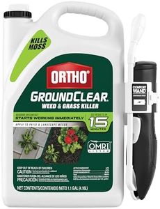 Ortho Grou