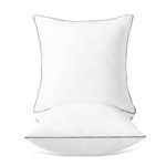 16x16 Pillow Insert Pack of 2, Square Throw Pillows with Down Alternative Microfiber Fill, Decor Pillows Stuffer for Couch, Sofa, Living Room, Indoor Decorative-16 x 16 Inch