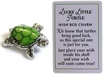 Ganz Lucky Little Turtle Wish Box C