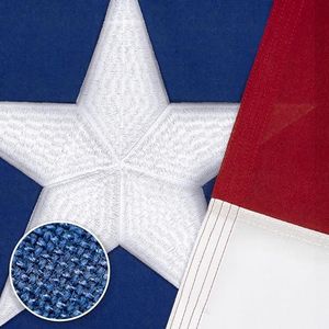 Texas Flag