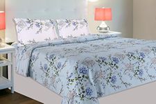 haus & kinder 100% Cotton Queen Size Bedsheet for Double Bed, 1 Cotton Bed Sheet Double Bed (90 X 100 Inches) with 2 Pillow Covers | 186 TC Bed Sheet Double Bed | Victorian Summer Dream (Blue)