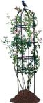 SAKOTE Garden Trellis,Tomato Cage Climbing Plants Outdoor,Plants Trellis Support Climbing Vines,Plant Support Vegetables,Plant Flower Trellises Clematis Jasmine Outdoor Indoor-1 Pack niaolong-1 63''